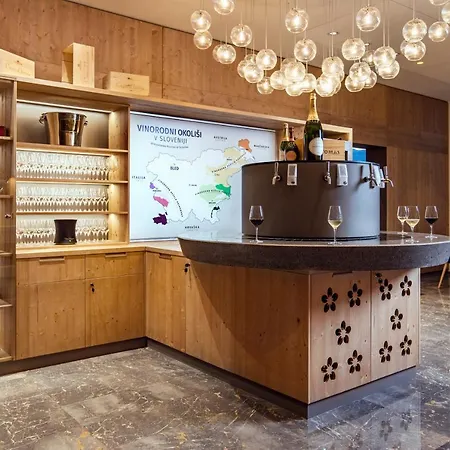 Hotel Park - Sava &